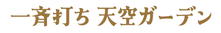 一斉打ち 天空ガーデン
